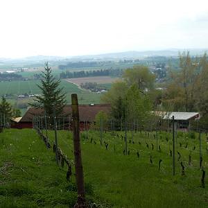 Amity Vineyards photo