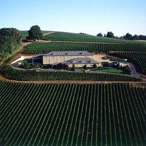 Archery Summit Winery photo