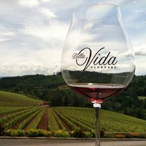 Bella Vida Vineyard photo