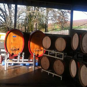 Belle Pente Wine Cellars photo