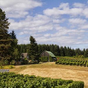 Brick House Wine Company photo