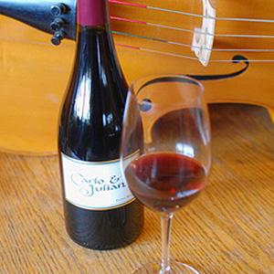 Carlo & Julian Winery photo