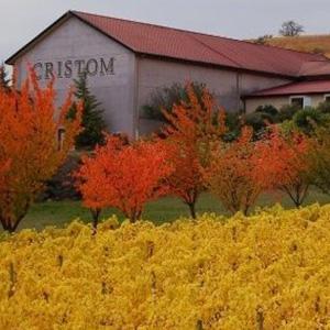 Cristom Vineyards photo