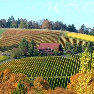 De Ponte Cellars photo