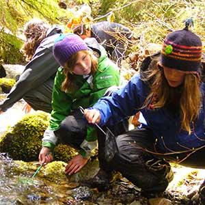 Opal Creek Ancient Forest Center photo