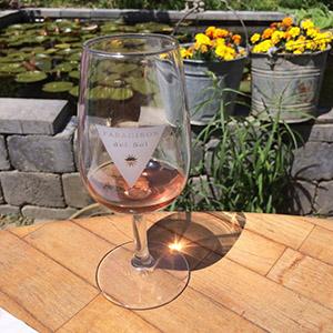 Paradisos del Sol photo