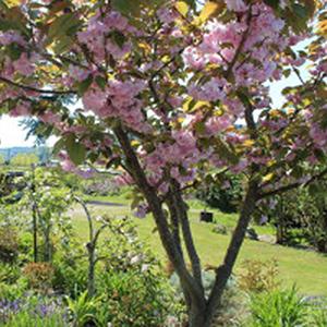  Woodinville Wine Trail Experience photo