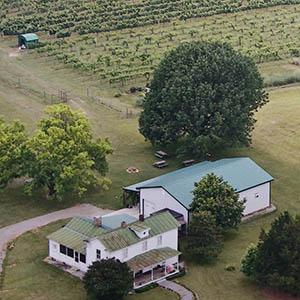 Hickory Hill Vineyard photo