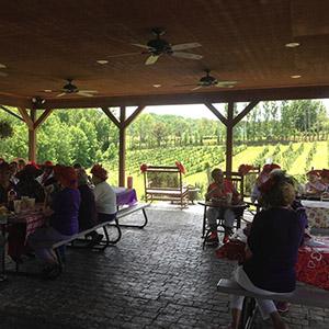 Hill Top Berry Farm photo