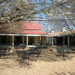 Ingleside Vineyards photo