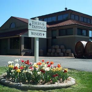 Jefferson Vineyards photo