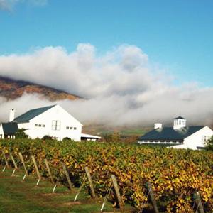 King Family Vineyards photo