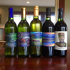 Lexington Valley Vineyard photo