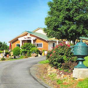 Mediterranean Cellars Winery photo