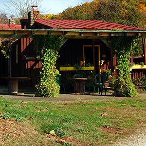 Mountain Cove Vineyards photo