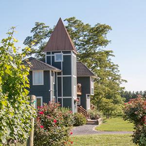 North Mountain Vineyard photo