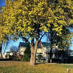 Old House Vineyards photo