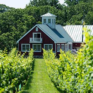 Philip Carter Winery photo