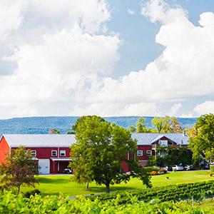 Shenandoah Vineyards photo