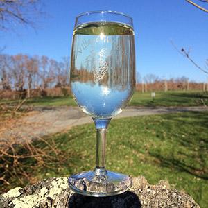 Village Winery & Vineyard photo