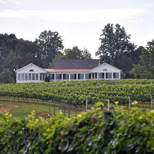 White Rock Vineyards photo