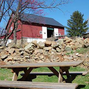 Willowcroft Farm Vineyards photo