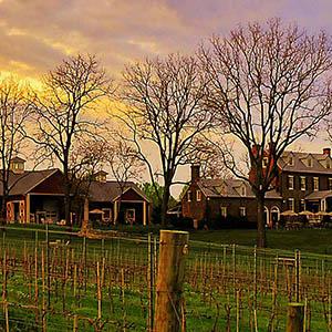 Winery at La Grange, The photo