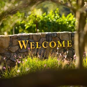 Arrowood Vineyards & Winery photo