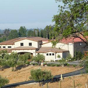 Cougar Vineyard & Winery photo