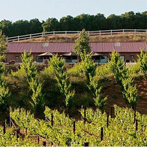 Frangipani Estate Winery photo