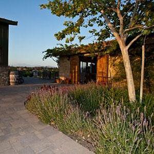 Palumbo Family Vineyards and Winery photo