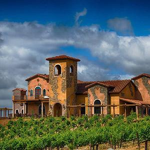 Robert Renzoni Vineyards photo