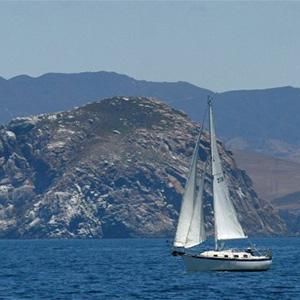 Sub Sea Tours and Kayaks photo