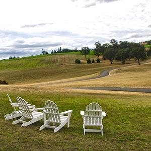Cellar Door Wine Tours photo