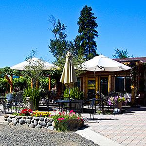 Marchesi Vineyards & Winery  photo