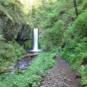 Eco Tours of Oregon photo