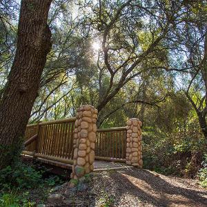 Hidden Falls Regional Park photo