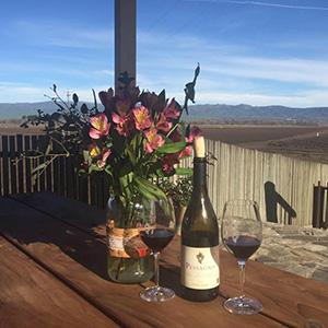 Pessango Winery photo