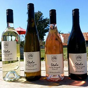Stolo Family Vineyards photo