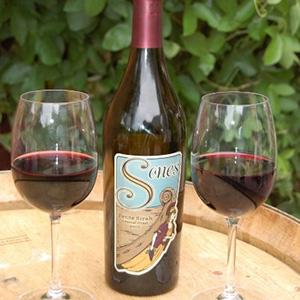 Sones Cellars photo