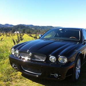 Saint Helena Wine Tours photo