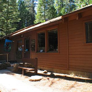 Calaveras Big Tree State Park photo