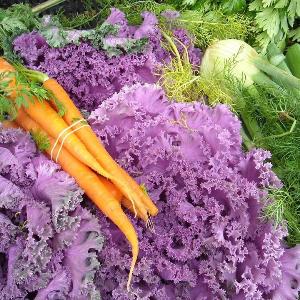 Temecula Farmers Market photo