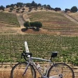 Santa Barbara Wine Country Cycling Tours photo