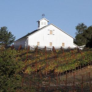 Galante Vineyards photo