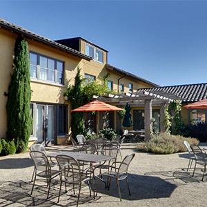 Iris Vineyards photo