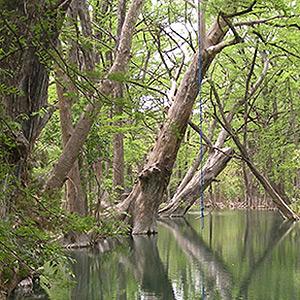 Blue Hole Regional Park  photo