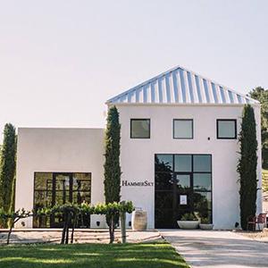 HammerSky Vineyards photo