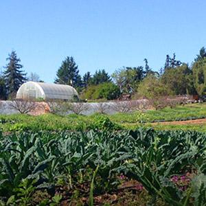 Fairview Gardens Farms photo