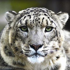Micke Grove Zoo photo